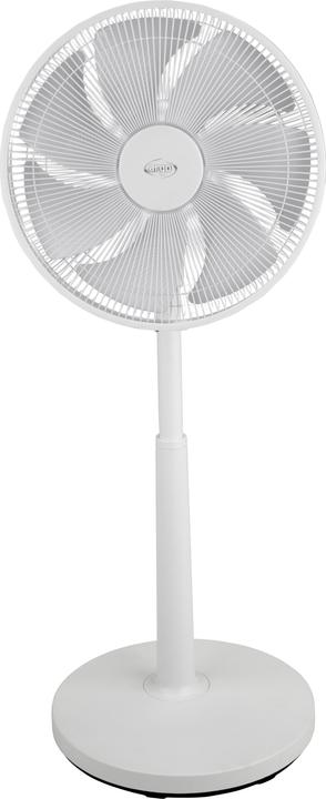 Actual product image Argo Table floor fan 61 db (61 dB)