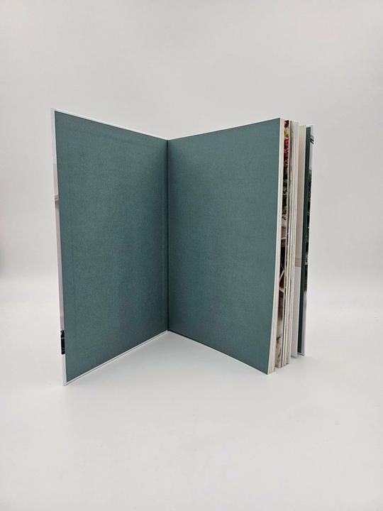 Actual product image Deliciously Ella - Healthy Made Simple (German, Ella Mills (Woodward), Cornelia Stoll, Franka Reinhart, 2024)