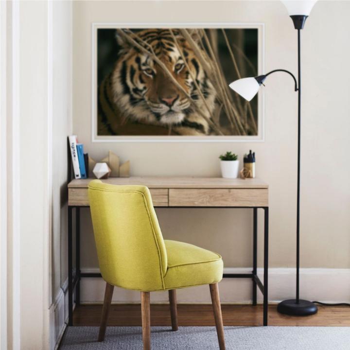 Immagine prodotto National Geographic Tigre NG (100 x 66 cm)