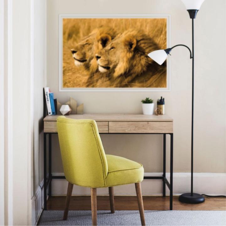 Actual product image National Geographic NG Lions pair (60 x 40 cm)