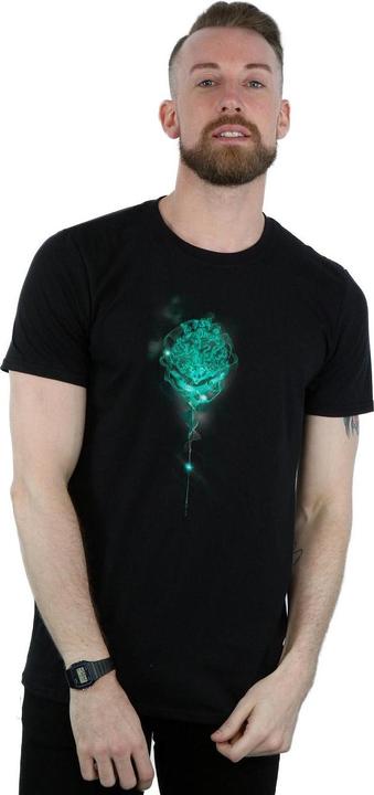 Actual product image Mens Hogwarts Crest Mist T-Shirt (XL)