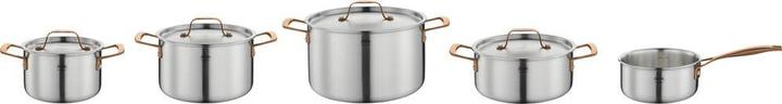 Actual product image Spring Roasting pot (Pot, Saucepan)