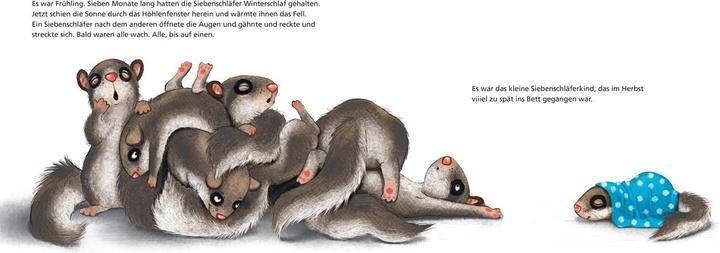 Image du produit Der kleine Siebenschläfer (Allemand, Sabine Bohlmann, Kerstin Schoene, 2019)
