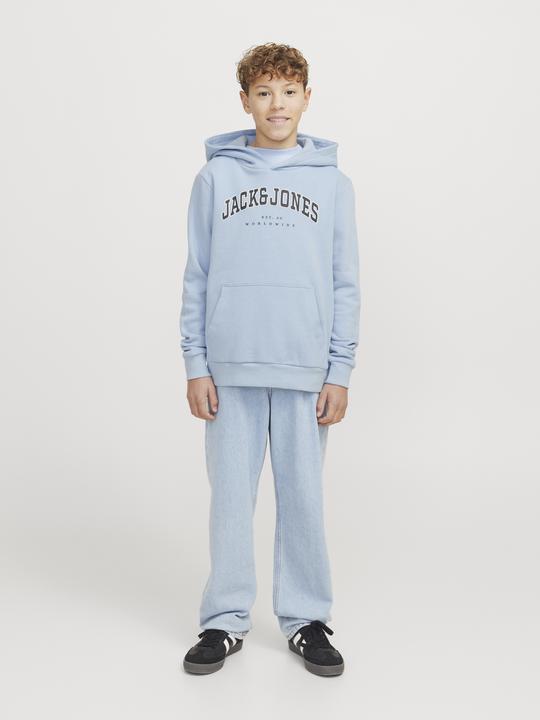 Image du produit Jack & Jones Jjecaleb Varsity Sweat Hood Noos Jnr (164)