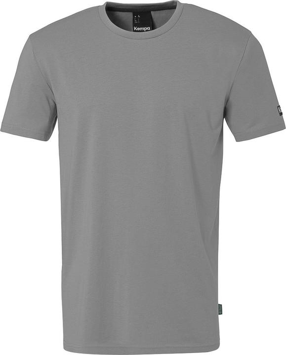 Grigio pietra