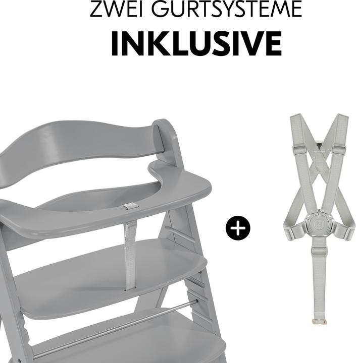 Productafbeelding Hauck Alpha+ (Kinderstoel)