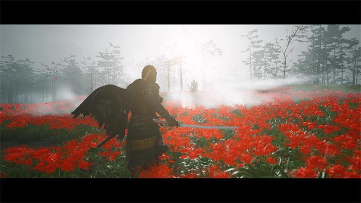 Produktbild Sony Ghost of Tsushima - Directors Cut (PS5, DE)