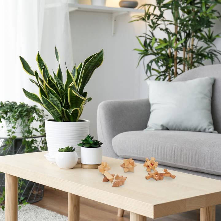 Produktbild Relaxdays Knobelspiele