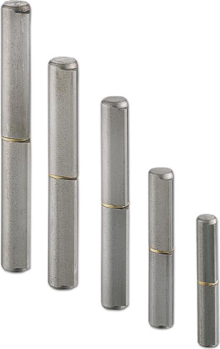 Produktbild Charmag Bandrolle (Scharnier) Türband ø 20x150 mm mit Zwischenring Stahl blank