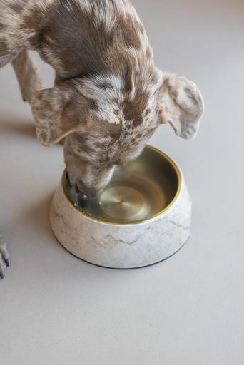 Immagine prodotto Designed by Lotte Ciotola per cani Meis (0.70 l)
