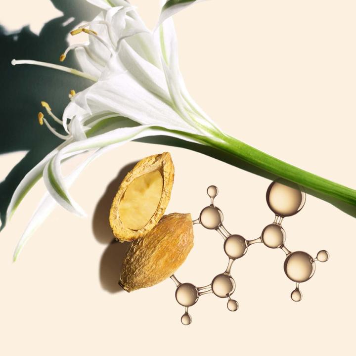 Actual product image Clarins Nutri-Lumière SPF 15 Toutes Peaux (50 ml, Day cream, SPF 15)