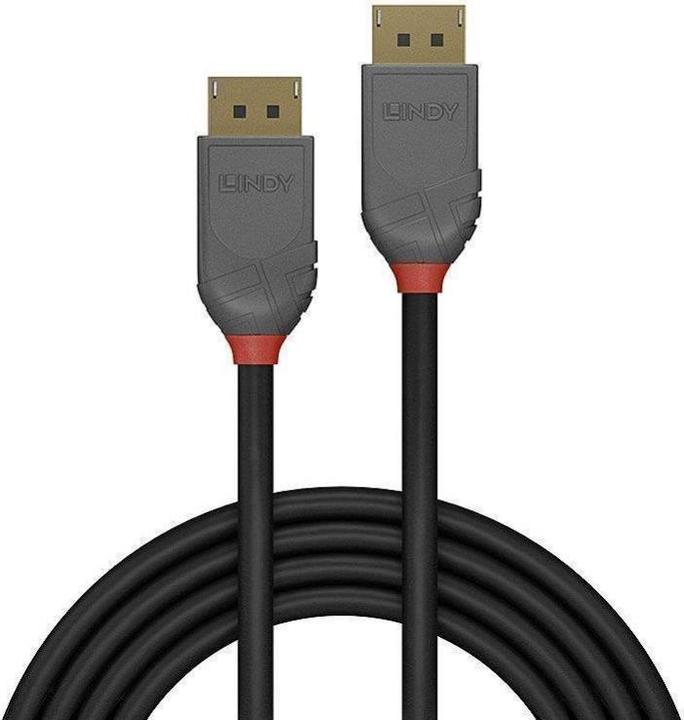 Image du produit Lindy DisplayPort — DisplayPort (2 m, DisplayPort)