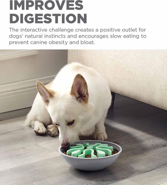Produktbild Outward Hound Fun Feedeer Wobble Slow Bowl Mint 23X8Cm - (645.5564) (0.59 l)