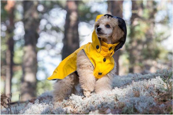Image du produit Rukka Chiens de traîneau (25, Manteau pour chien)