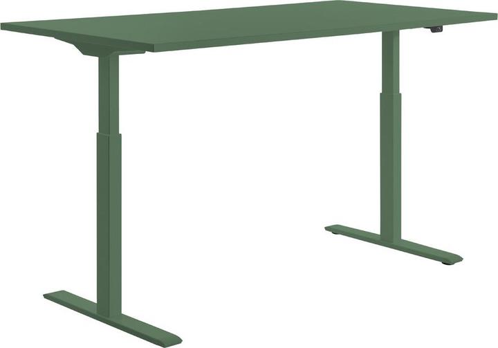 Productafbeelding Topstar E-Table elektrisch in hoogte verstelbaar bureau mintgroen rechthoekig, T-poot frame groen 1 (80 x 68 cm)