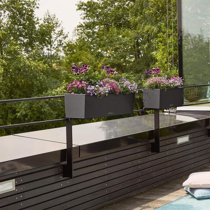 Immagine prodotto Lechuza Balconera Stone (19 cm)