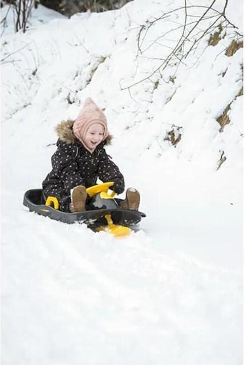 Actual product image dantoy Steering Sled
