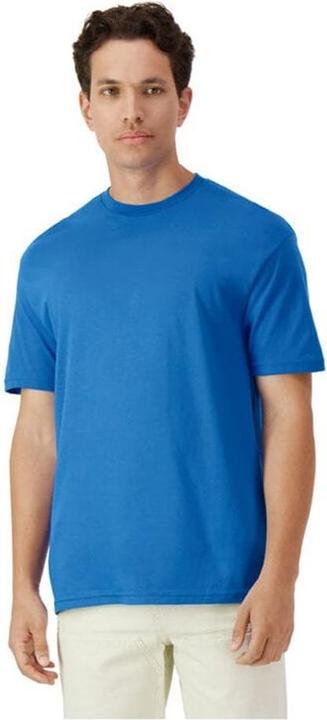 Actual product image Gildan Mens Plain Lightweight T-Shirt (L)