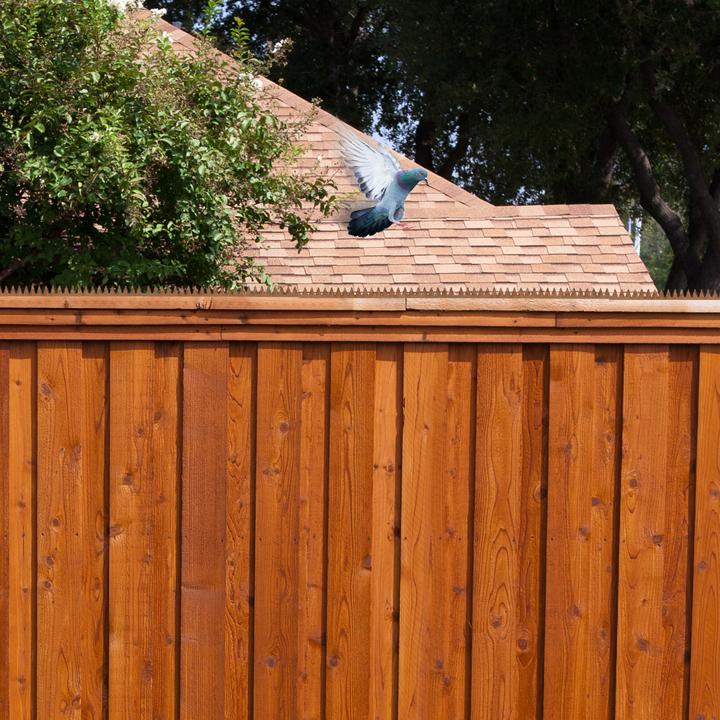 Actual product image Relaxdays Bird repelling spikes