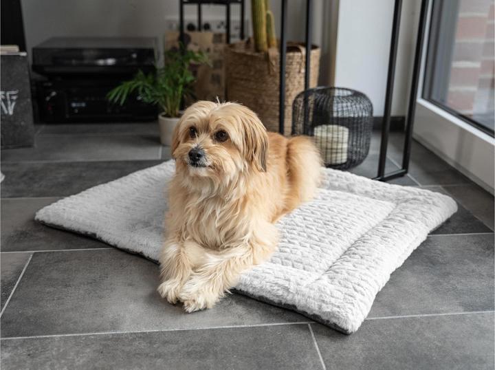 Actual product image Trend Pet Dog blanket Heaven, Grey, Size L (Dog)