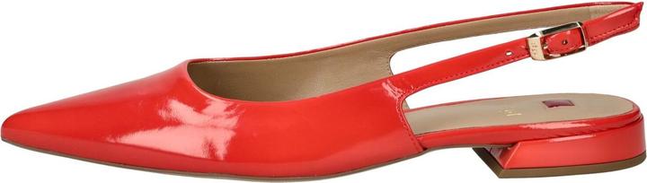 Actual product image Högl Pumps (38)