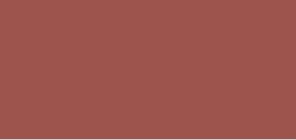 BioNike Glossy lipstick Defense Color Nutri Shine (Glossy Lips tick ) 3 ml - Shade: 204 Bois De (204 Bois De Rose)