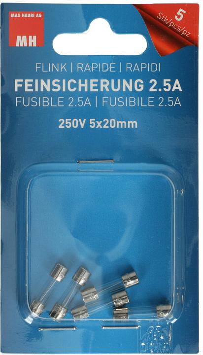 Max Hauri Feinsicherung (Feinsicherung, 2.50 A, Flink)