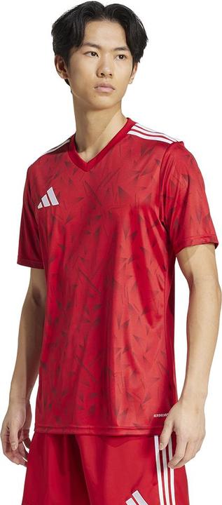 Actual product image adidas Team Icon 25 Jersey (XL)