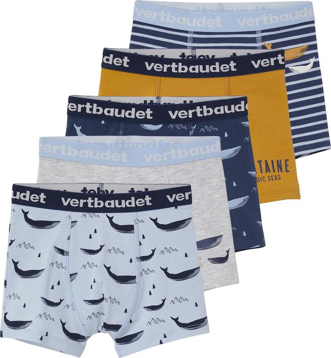 Actual product image Vertbaudet Underwear Bottom (152, 5-pack)