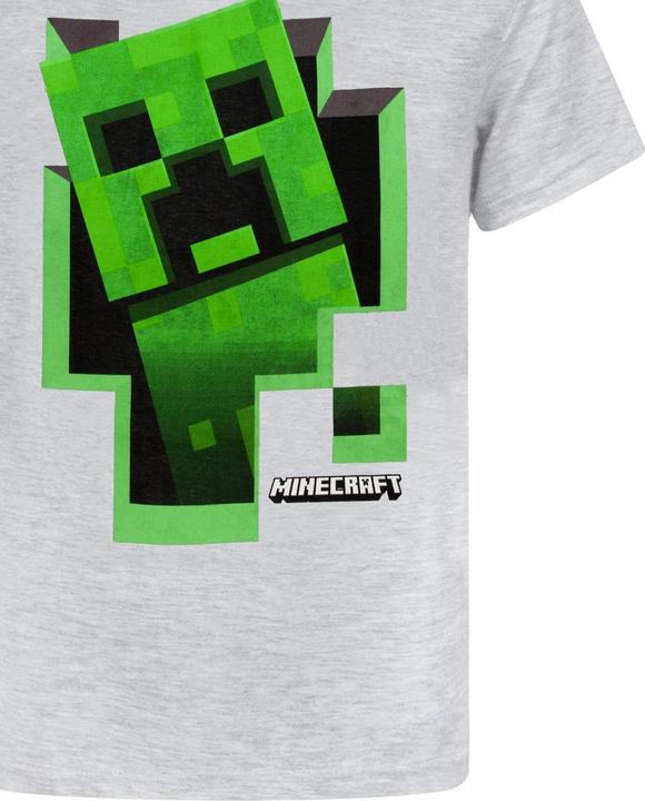 Actual product image Minecraft Inside Tshirt Boys (140)