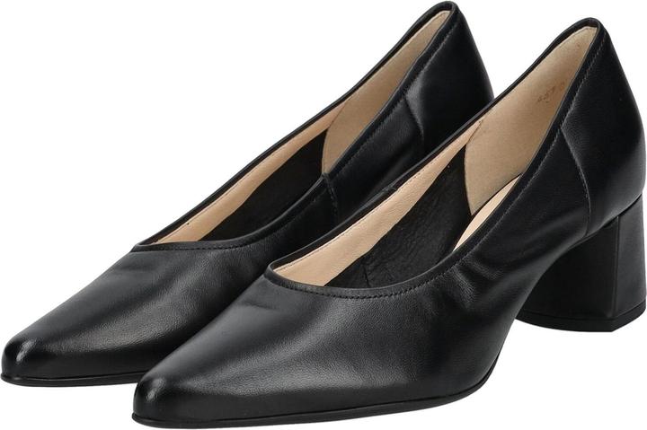 Image du produit Högl Pumps (40)
