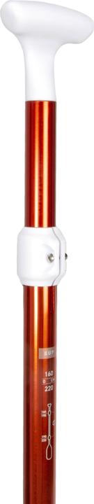 Image du produit Itiwit COMPACT 100 (220 cm)