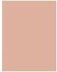 Actual product image Estée Lauder Double Wear (No. 2C3 - Fresco)