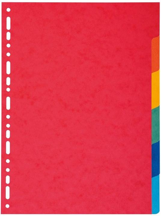 Immagine prodotto Exacompta Registro in bianco - cartone