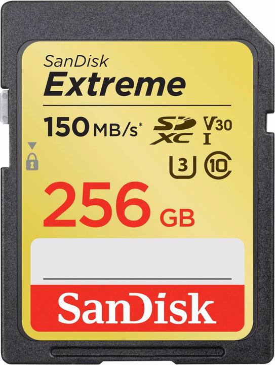 SanDisk SDXC estremo (256 GB, SDXC, U3, UHS-I)
