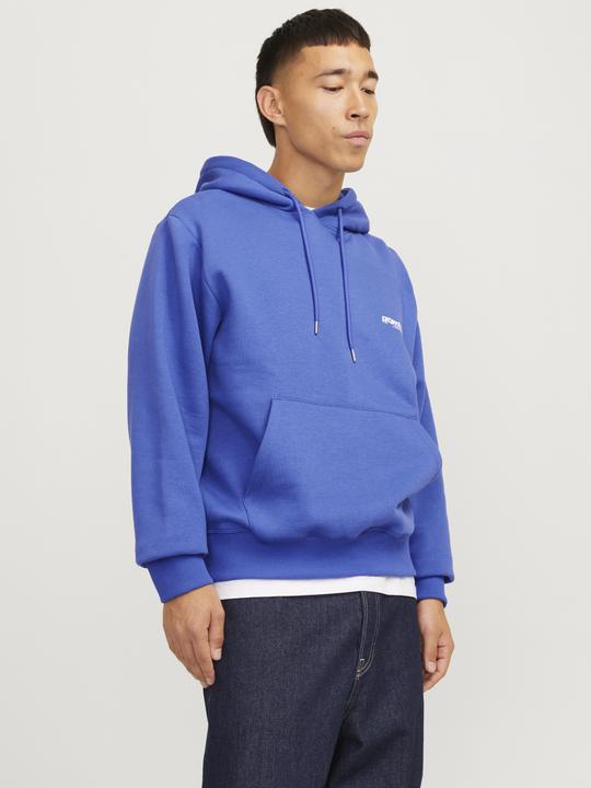 Produktbild Jack & Jones Jcounion Print Sweat Hood Noos (XS)