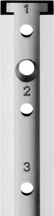 Image du produit Aweso Rails d'actionnement 1000 type 1, pour charges légères (1 pcs)