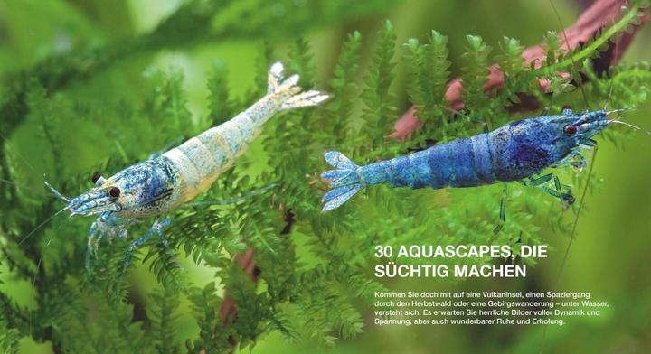 Produktbild Aquascaping (Deutsch, Chris Lukhaup, 2013)