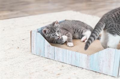 Produktbild Trixie Scratching bed, cardboard, catnip, 45×12×33 cm, Türkis (33 cm, Türkis)