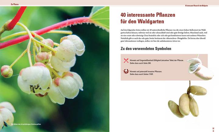 Immagine prodotto Praxisbuch Waldgarten (Tedesco, Volker Kranz, Frederik Deemter, 2024)