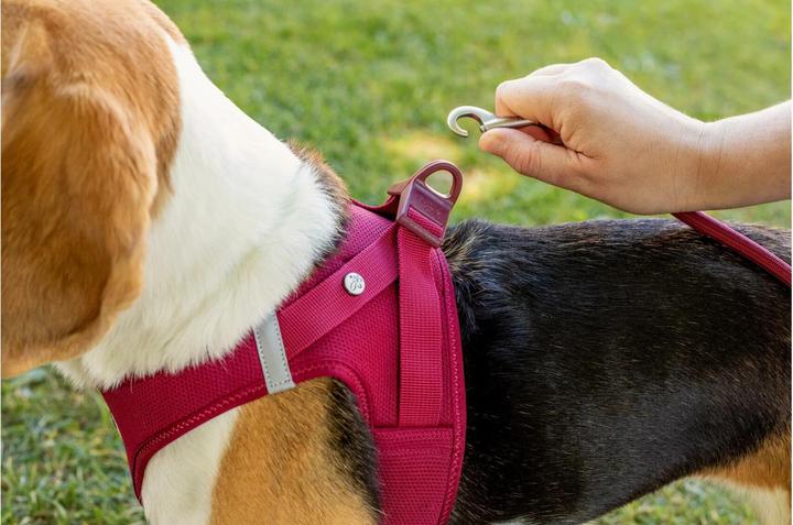 Produktbild Curli Geschirr Vest Air-Mesh M, Moss (M, Hund, Allgemein)