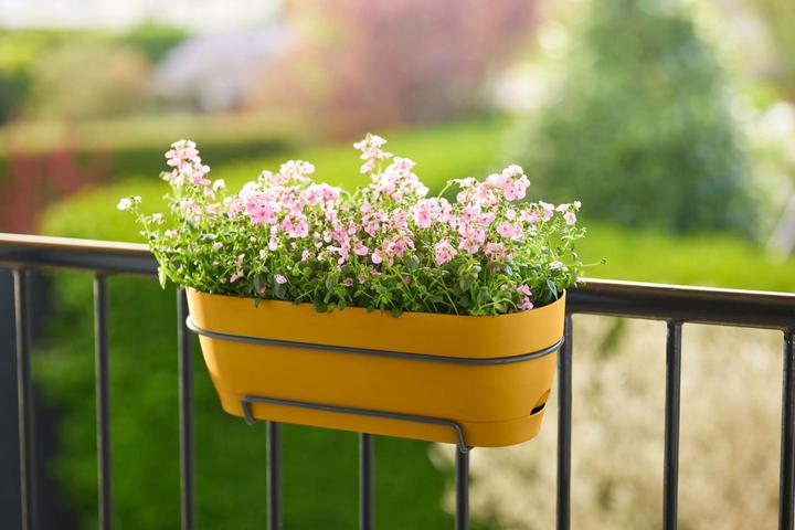 Actual product image Elho Vibia Campana Balcony Box Allin1 (26 cm)