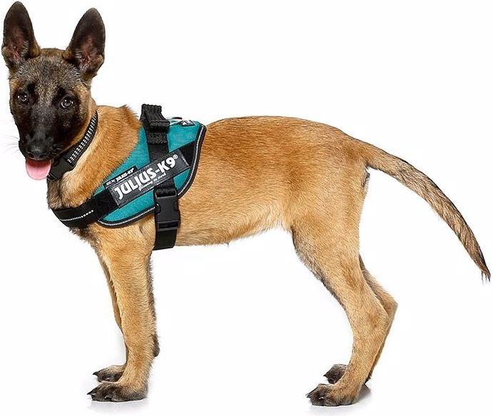 Actual product image Julius-K9 Idc (2, Dog, Work, Dog sport, Jogging, Walks)