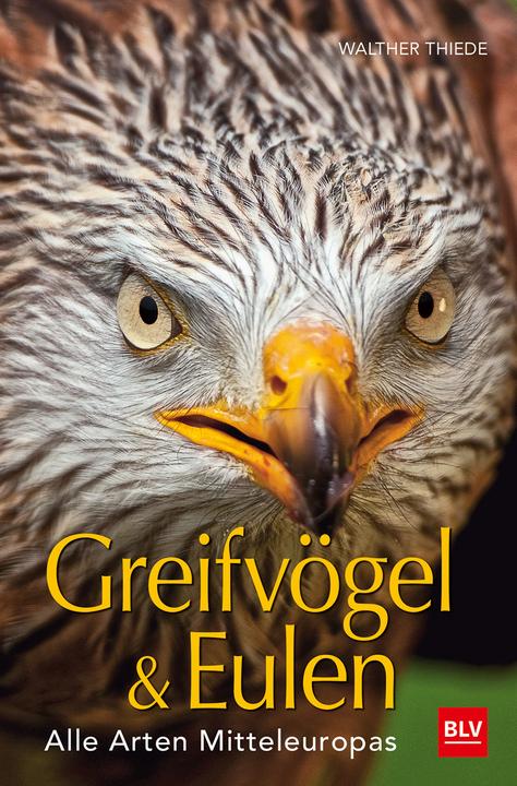 Actual product image Greifvögel & Eulen (German, Walther Thiede, 2019)