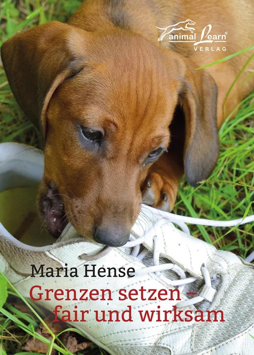 Immagine prodotto Grenzen setzen (Tedesco, Maria Hense, 2020)