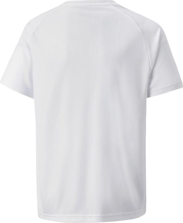 Actual product image Puma teamVISION Jersey Jr-704928 (164)