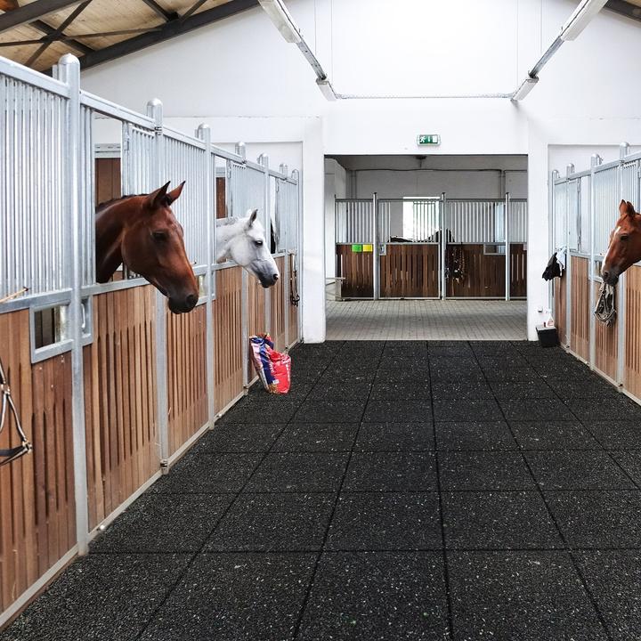 Actual product image Floordirekt Stallboden (125 x 250 cm)