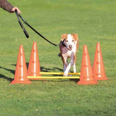Image du produit Trixie l'activité des chiens (S, Agility)