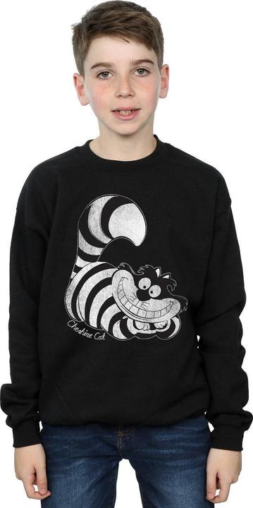 Actual product image Disney Boys Sweatshirt (116)