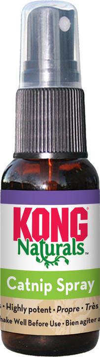 KONG Catnip Spray (Katzenminzespielzeug)